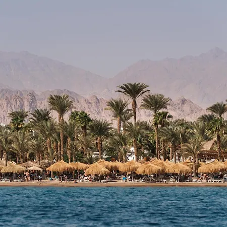 Jaz Sharm Dreams-2